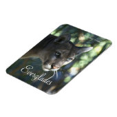 Florida Panther, Everglades Ntl. Park Magnet (Linke Seite)