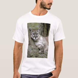Florida-Panther, Felis concolor coryi, T-Shirt