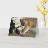 Florida Panther Greeting Card Karte (Gelbe Blume)