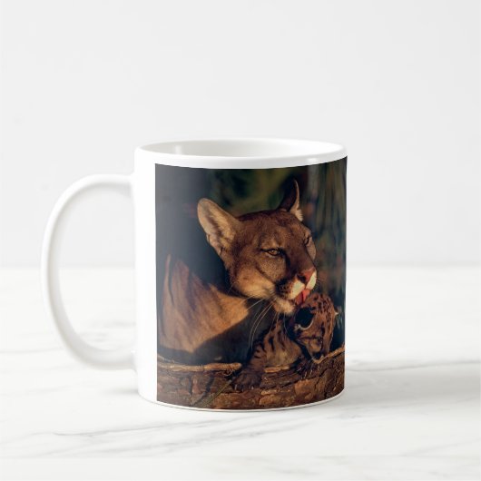 Florida panther leckend cub kaffeetasse (Links)