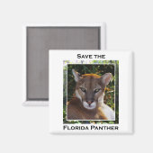 Florida Panther Magnet (Vorderseite/Rückseite)