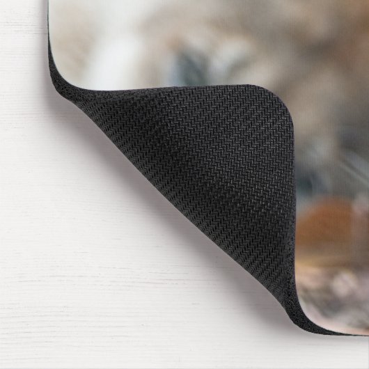 Florida Panther Mousepad (Ecke)