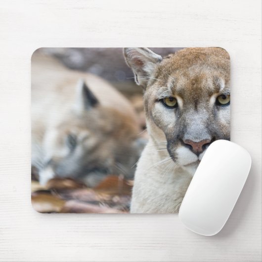 Florida Panther Mousepad (Mit Mouse)