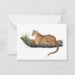 Florida Panther Note Card Mitteilungskarte