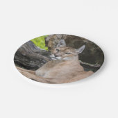 Florida-Panther-Papier-Teller Pappteller (Schrägansicht)