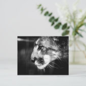 Florida Panther Postcard Postkarte (Stehend Vorderseite)