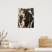 Florida Panther Poster (Küche)