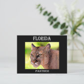 Florida Panther Postkarte (Stehend Vorderseite)
