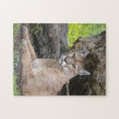 Florida-Panther-Puzzlespiel Puzzle (Horizontal)