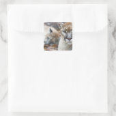 Florida Panther Quadratischer Aufkleber (Tasche)