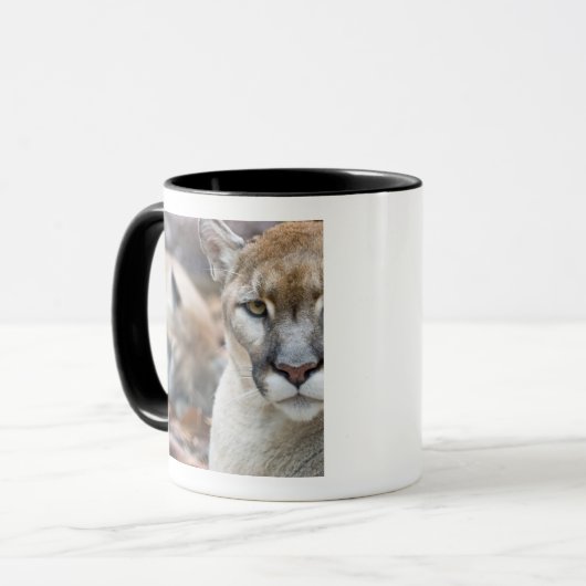 Florida Panther Tasse (Vorderseite Links)