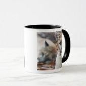 Florida Panther Tasse (VorderseiteRechts)