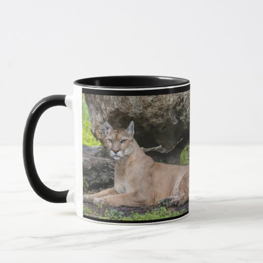 Florida-Panther-Tasse Tasse (Links)
