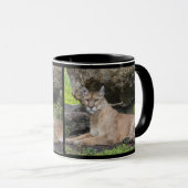 Florida-Panther-Tasse Tasse (VorderseiteRechts)