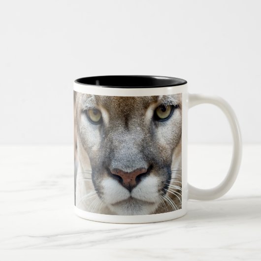 Florida Panther Zweifarbige Tasse (Rechts)