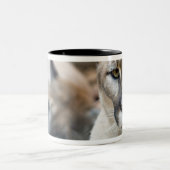 Florida Panther Zweifarbige Tasse (Mittel)