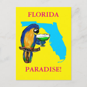 FLORIDA PAPAGEIEN POSTKARTE