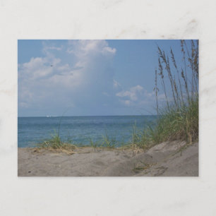 Florida Paradise Postkarte