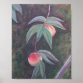 FLORIDA PEACHES Poster (Vorne)