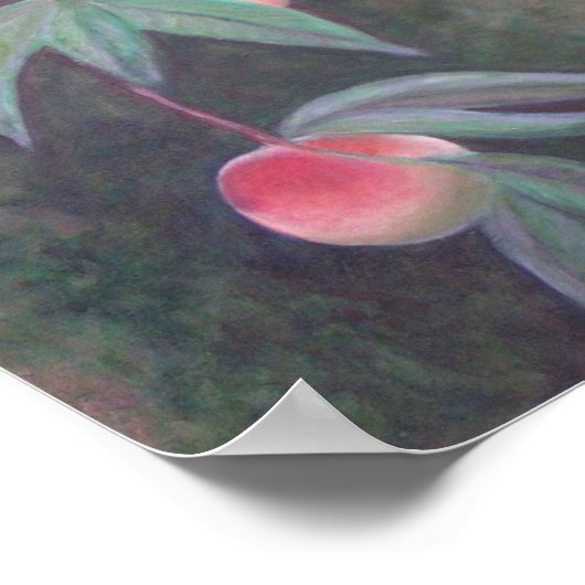 FLORIDA PEACHES Poster (Ecke)