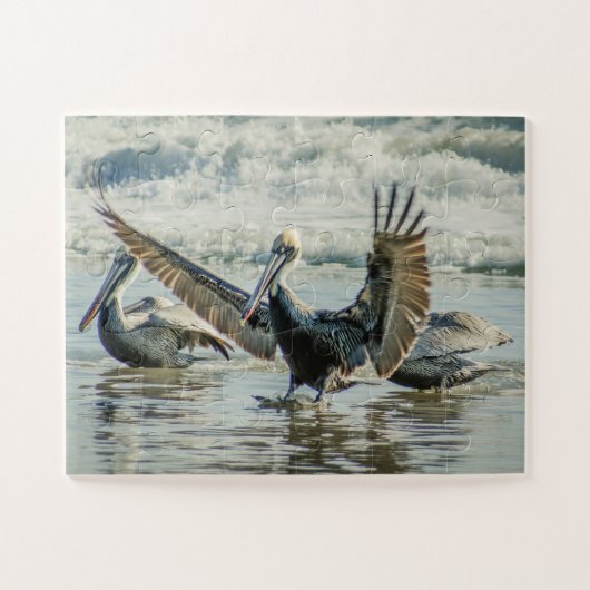Florida Pelicans Birds Nature Beach Oversifiziert Puzzle (Horizontal)