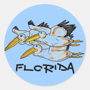 Florida-Pelikanblauaufkleber Runder Aufkleber