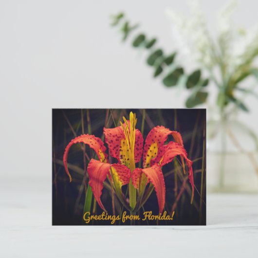 Florida Pine Lily Postcard Postkarte (Stehend Vorderseite)