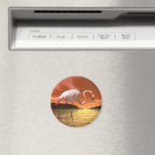 Florida Pink Flamingo Magnet (In Situ (Geschirrspüler))