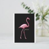 Florida Pink Flamingo Postkarte (Stehend Vorderseite)