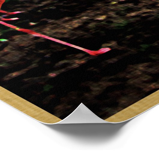 Florida Pink Flamingos Poster (Ecke)