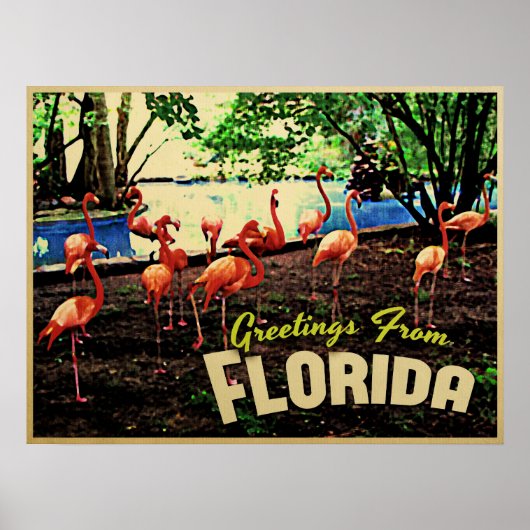 Florida Pink Flamingos Poster (Vorne)