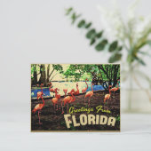 Florida Pink Flamingos Postkarte (Stehend Vorderseite)