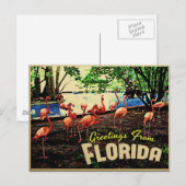 Florida Pink Flamingos Postkarte (Vorne/Hinten)