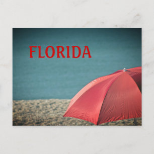 Florida Post Card Postkarte