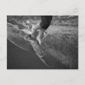 Florida Postcard Postkarte (Vorderseite)