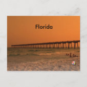Florida Postcard Postkarte (Vorderseite)