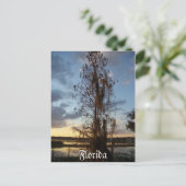 Florida Postcard Postkarte (Stehend Vorderseite)