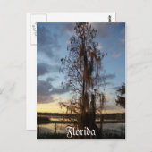 Florida Postcard Postkarte (Vorne/Hinten)