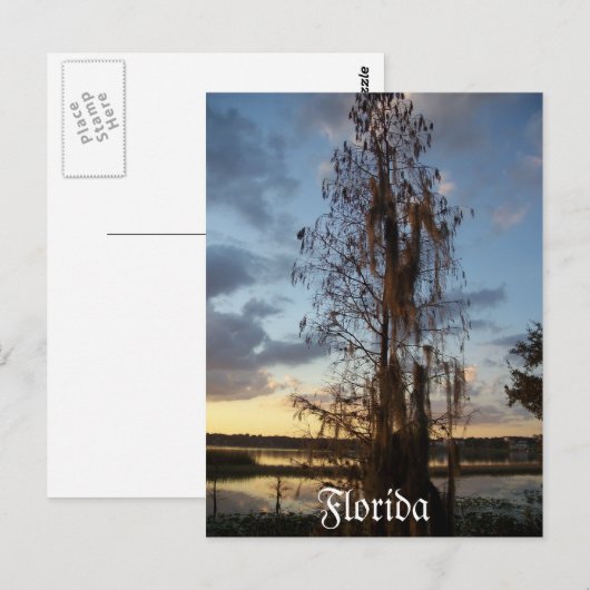 Florida Postcard Postkarte (Vorne/Hinten)