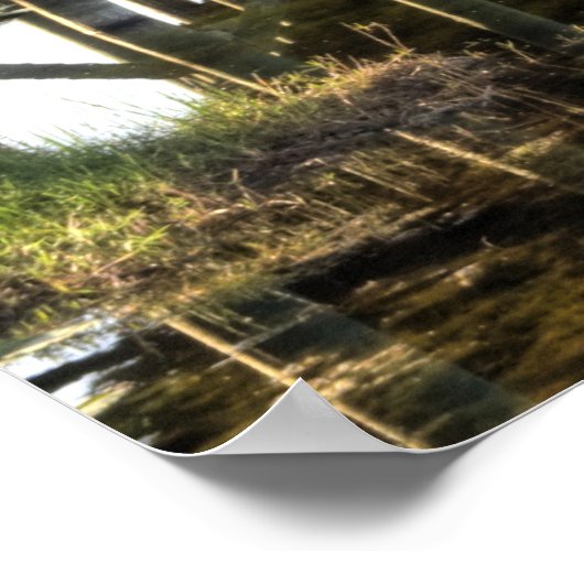 Florida Poster (Ecke)