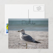 Florida Postkarte (Vorne/Hinten)