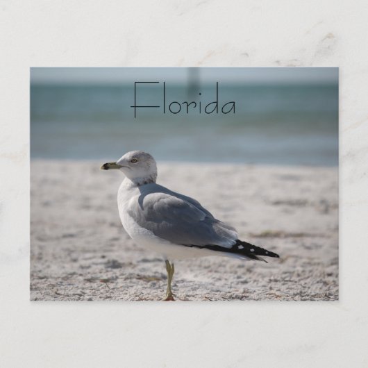 Florida Postkarte (Vorderseite)