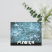 FLORIDA POSTKARTE (Stehend Vorderseite)