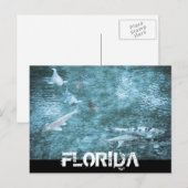 FLORIDA POSTKARTE (Vorne/Hinten)