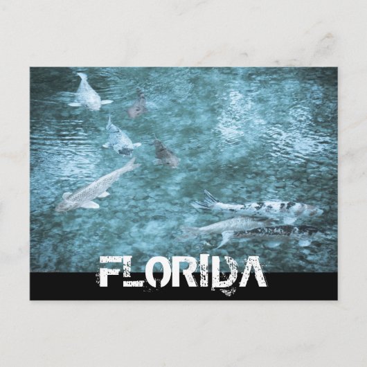 FLORIDA POSTKARTE (Vorderseite)
