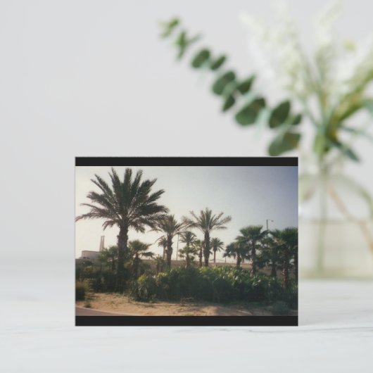 Florida Postkarte (Stehend Vorderseite)