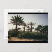 Florida Postkarte (Vorne/Hinten)