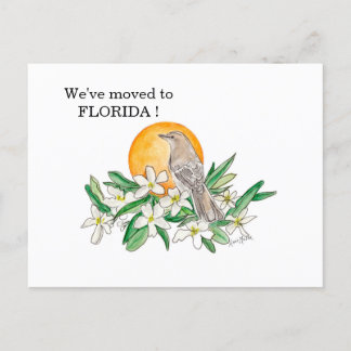Florida Postkarte