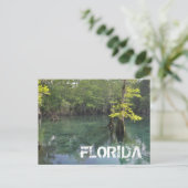 FLORIDA POSTKARTE (Stehend Vorderseite)