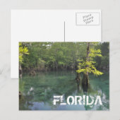 FLORIDA POSTKARTE (Vorne/Hinten)